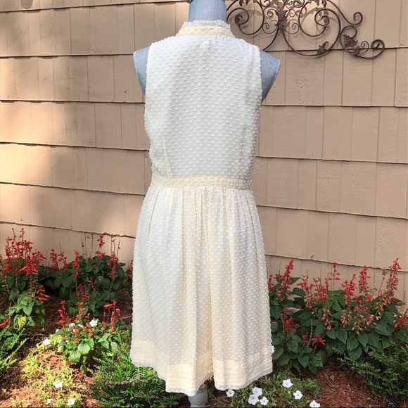 J.Crew Swiss Dot Chiffon Dress - Picture 4 of 4